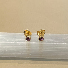 Sumi - Ohrstecker Gold heller Amethyst Juni