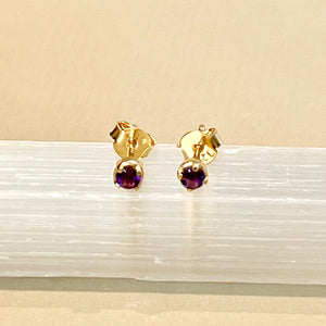 Sumi - stud earrings gold amethyst February